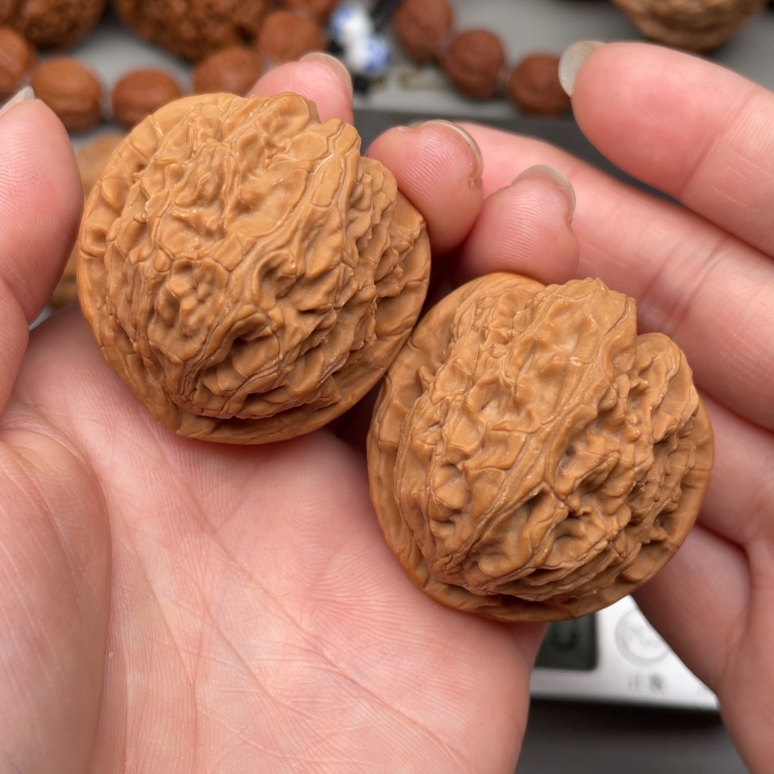 文玩核桃把件白狮子38