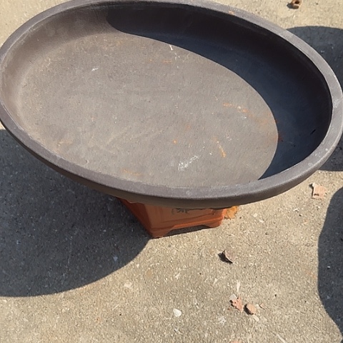 紫砂宜兴紫砂花盆36无孔椭圆