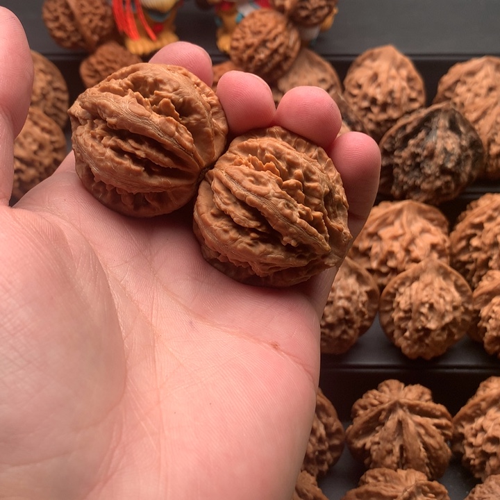 其他核桃邢*秦岭灯笼