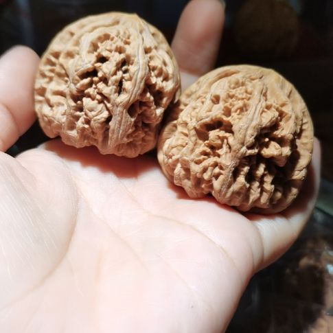 猴头核桃吊坠44粗筋