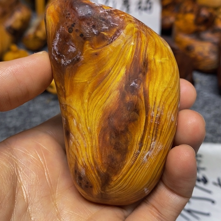 柏木（崖柏）崖柏58