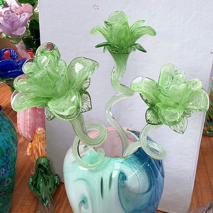 夜光花高度45厘米9左右