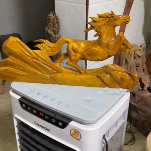 金丝楠永**败马到成功的