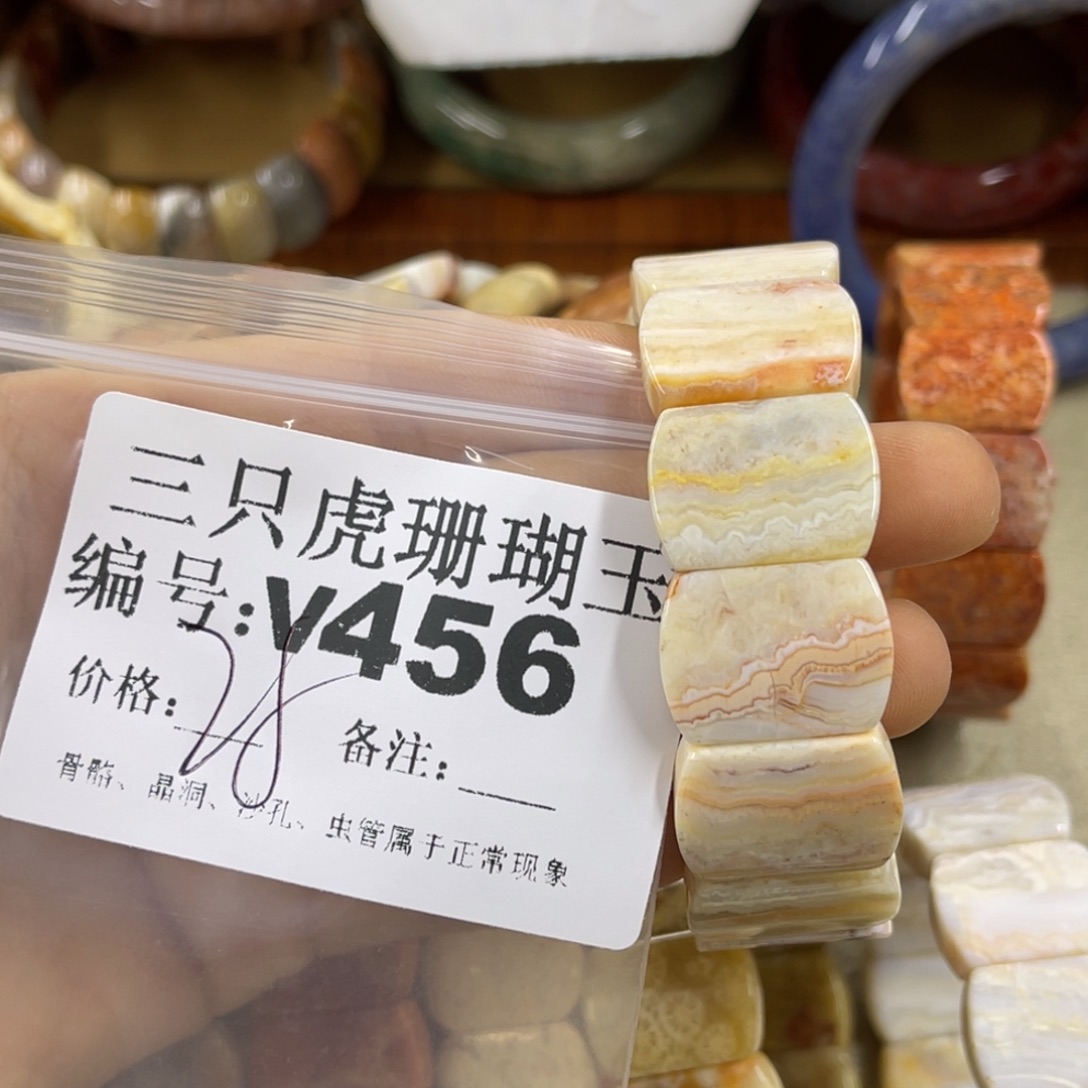 绿***翁硅化珊瑚（珊瑚玉）未镶嵌h