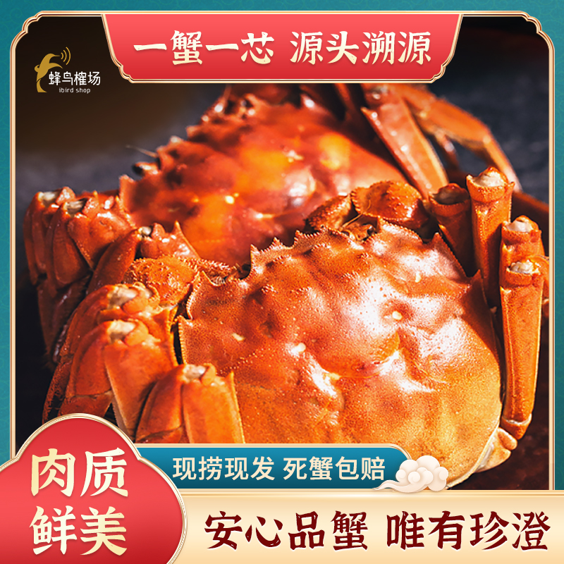 珍澄蟹【活蟹】珍澄蟹大闸蟹3两——3.5两公蟹8只礼盒次日发塘蟹