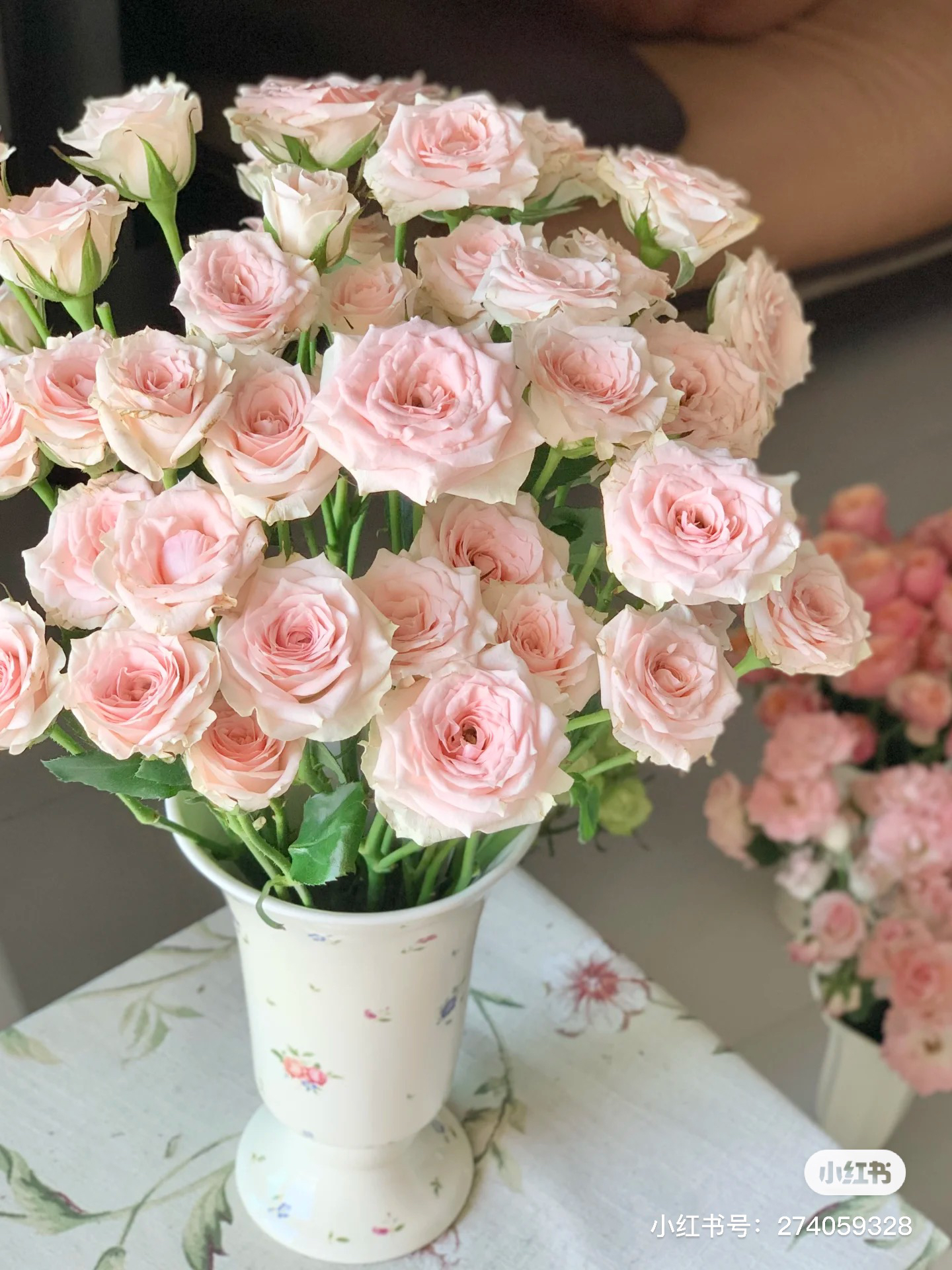 星悦宝贝10支 两单包邮