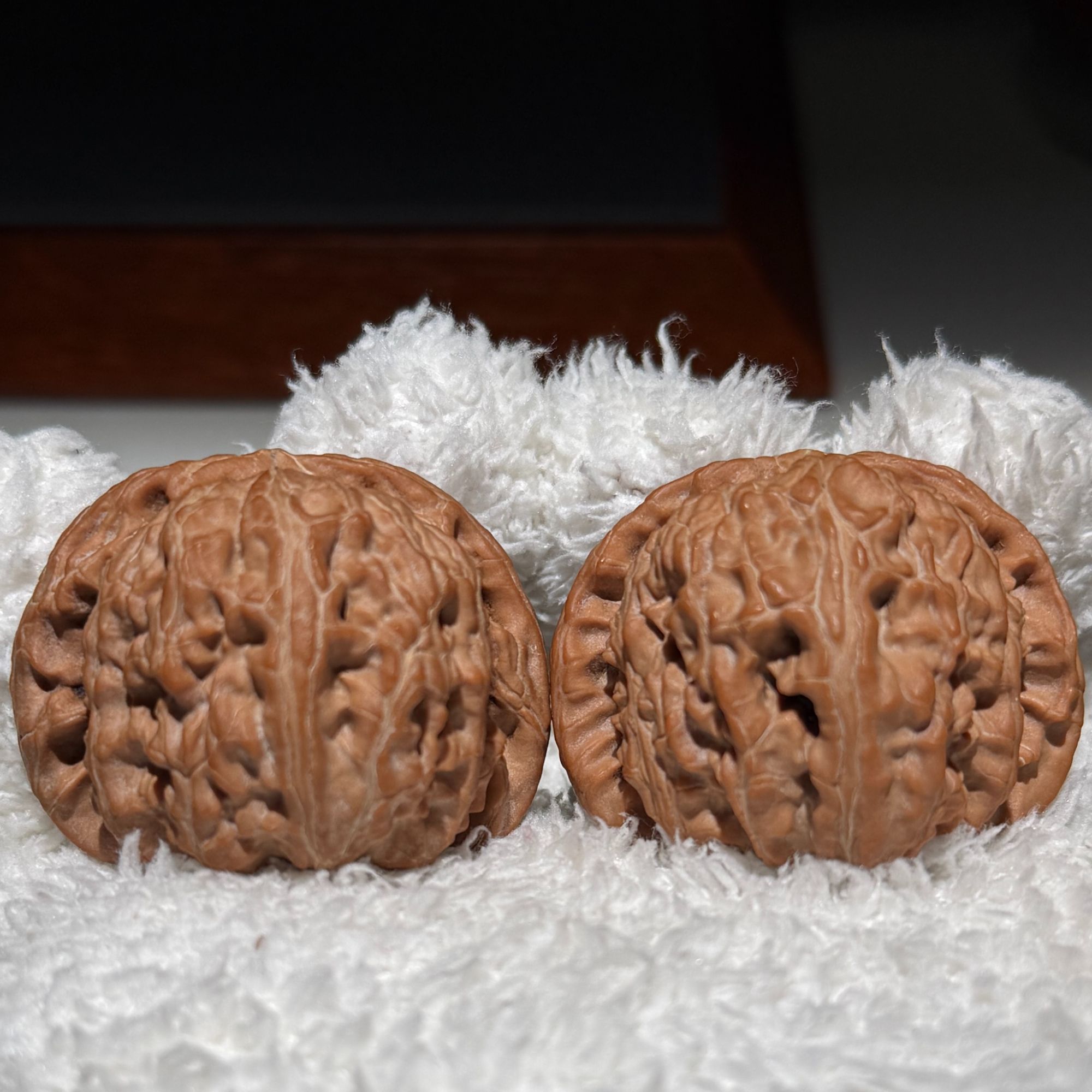 [简核]白狮子文玩核桃