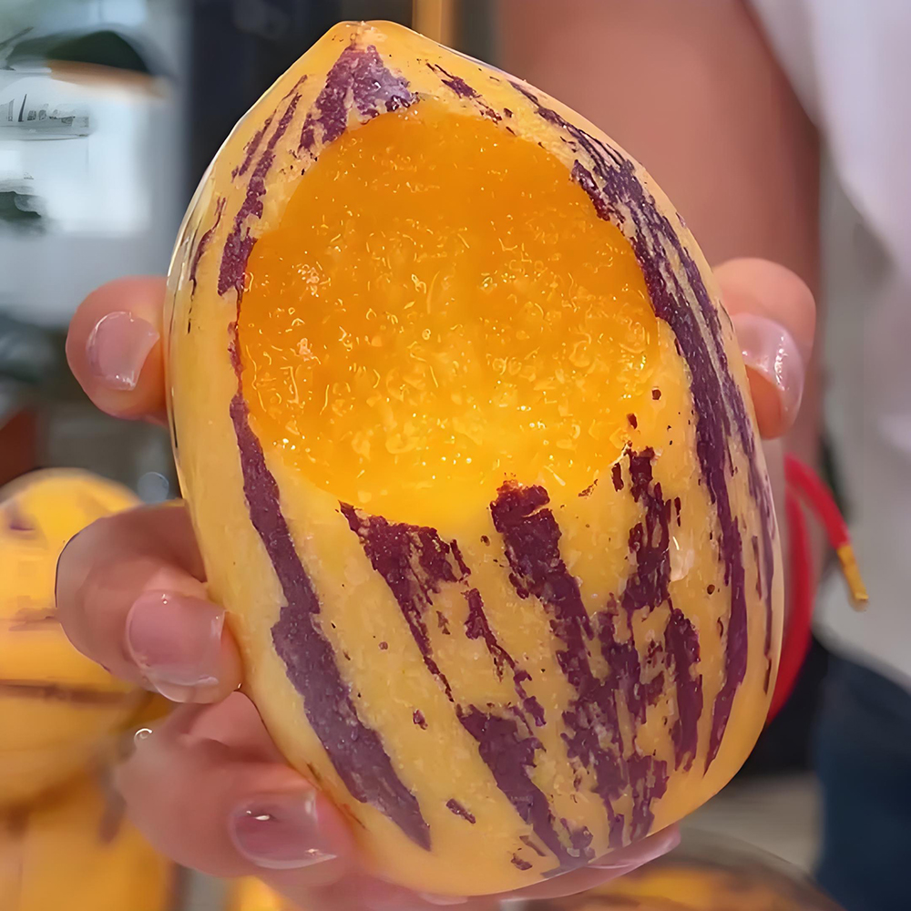 甘肃沙漠民勤人参果现摘现发10斤装产地直发黄肉熟果