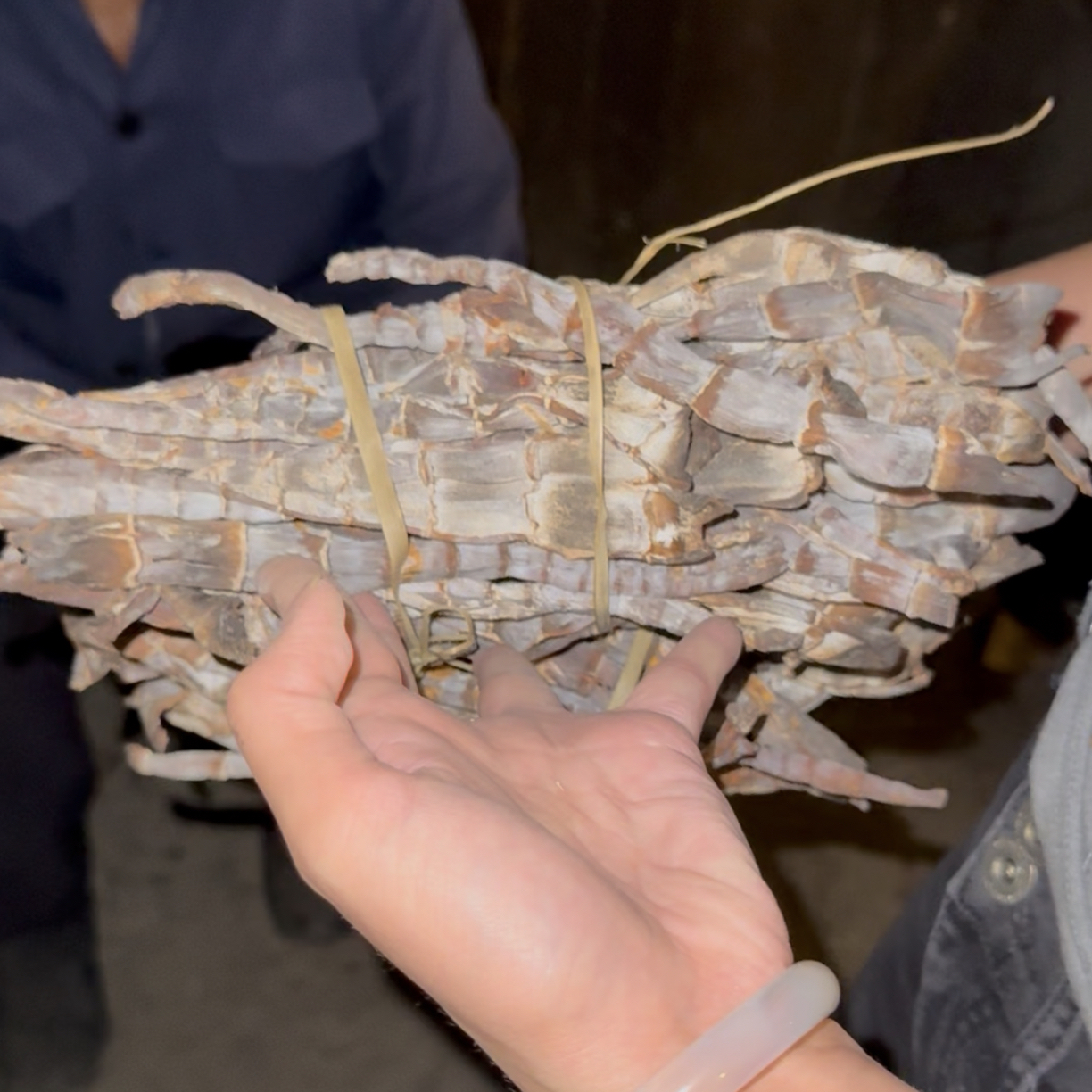 重庆武隆农村干笋子代购链接