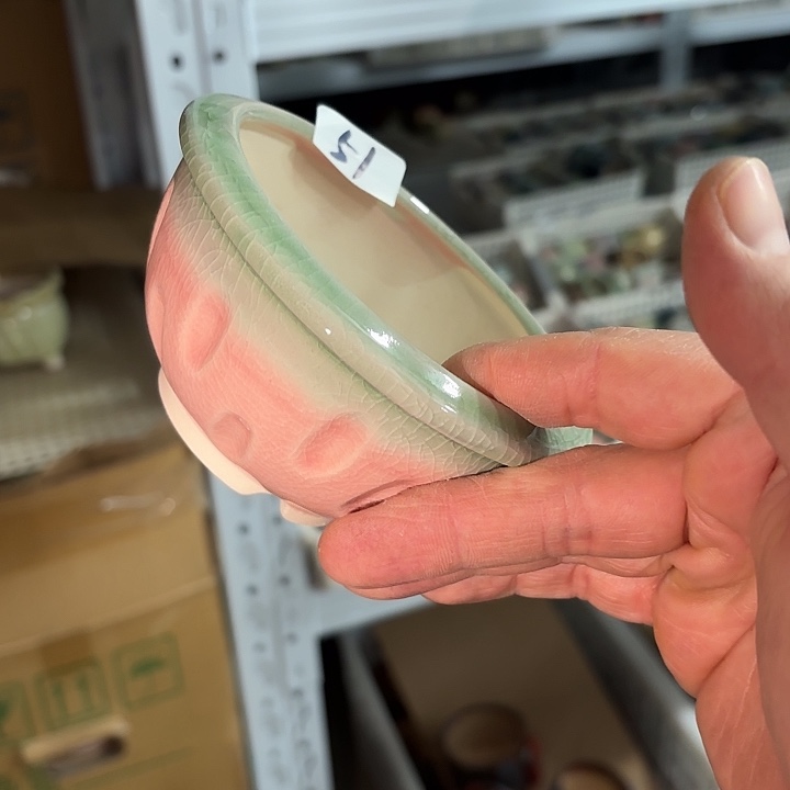 红陶发4个，深浅搭配