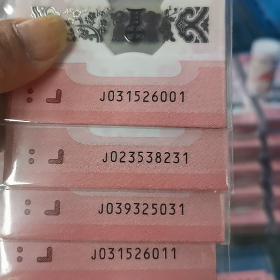 其他普通金属蛇标十无四七