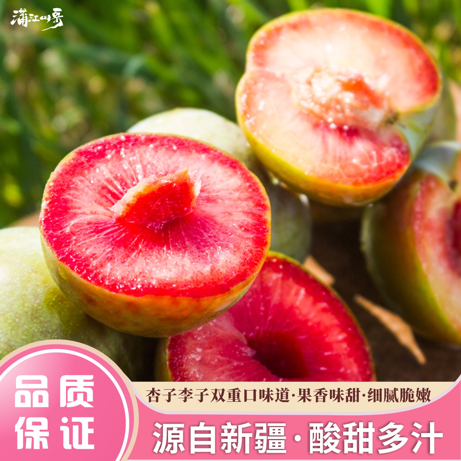 顺丰新疆恐龙蛋杏李清脆酸甜生态脱骨采摘多汁香甜大果李子新鲜