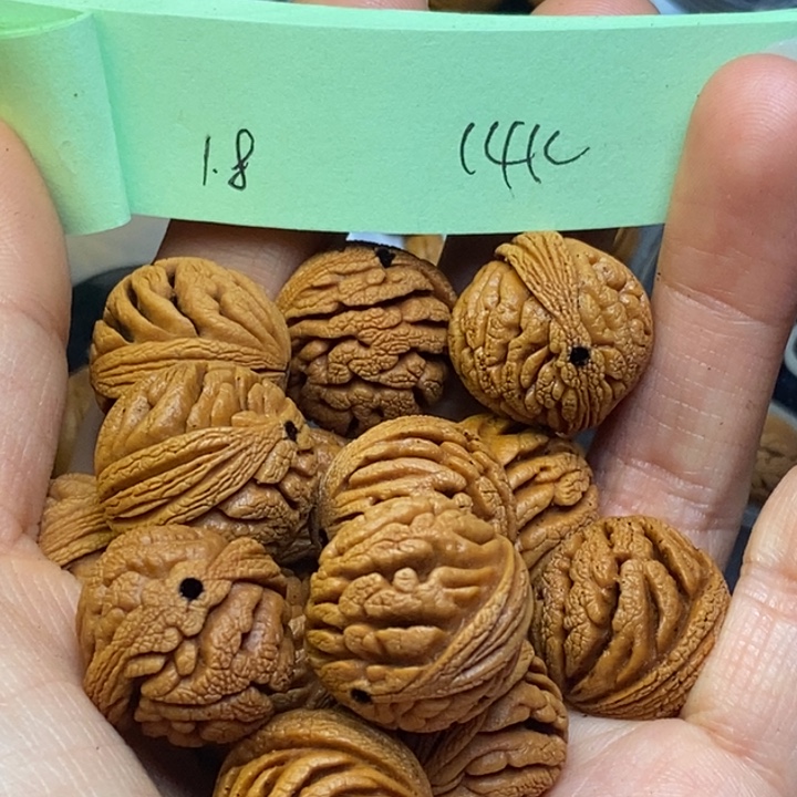 吊坠桃核秦岭龙纹桃核18尺寸