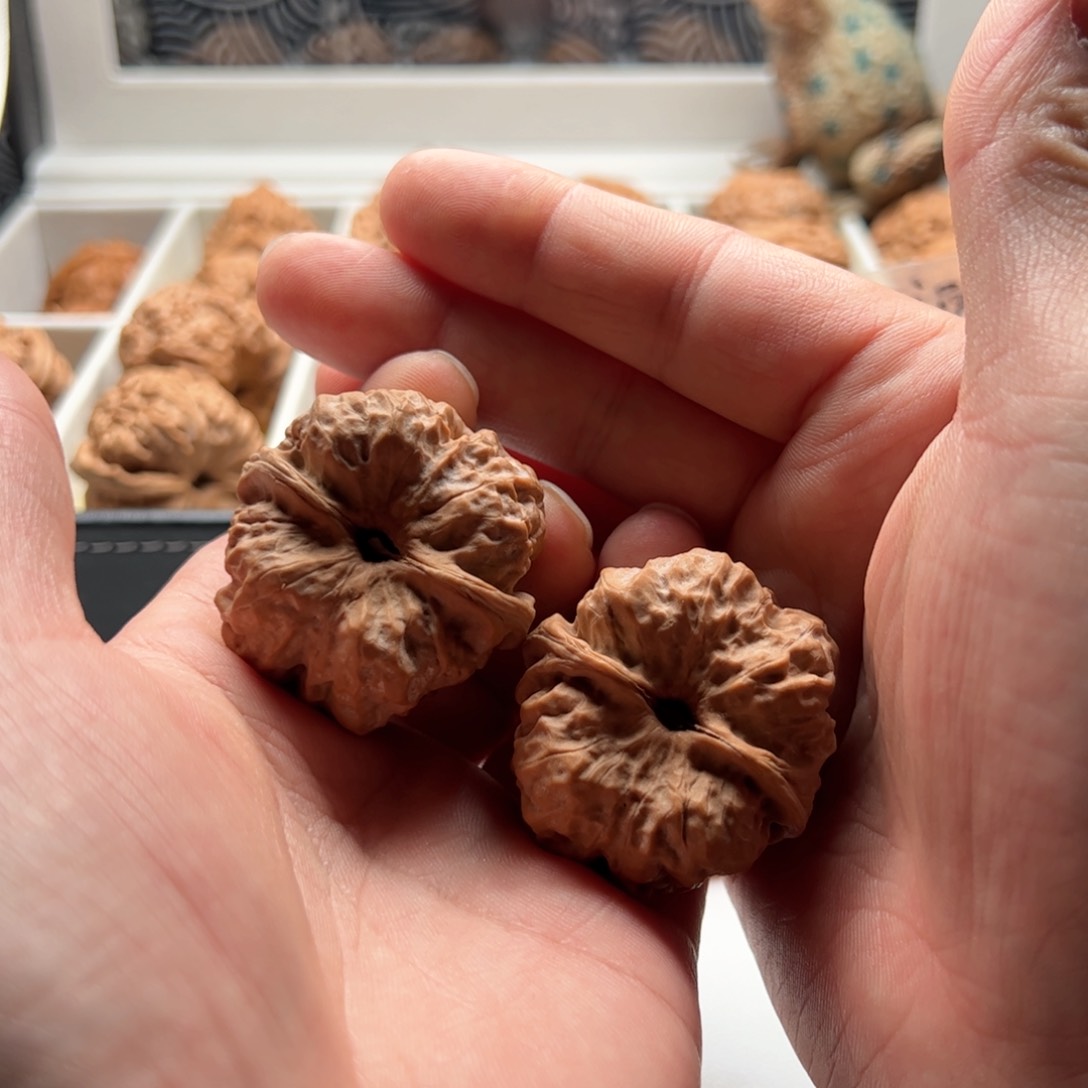 核桃把件延庆蛤蟆头