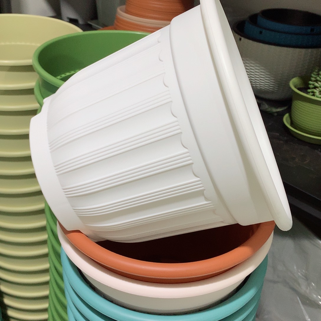 树脂罗马口24白5个无托