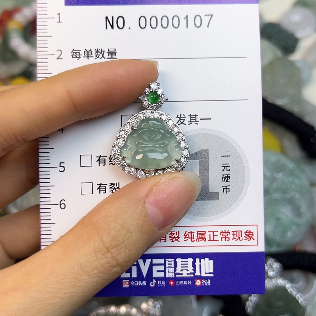 翡翠未镶嵌颈饰107