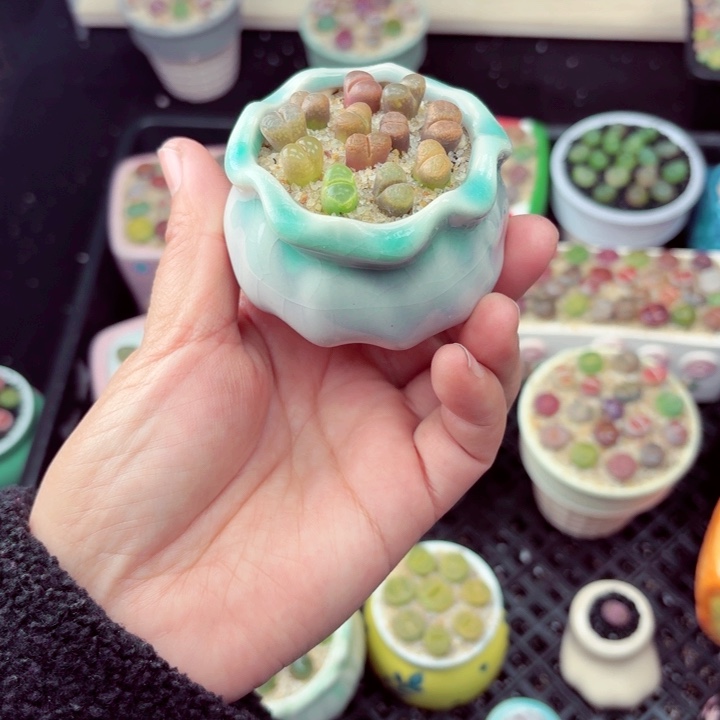 599零下地区记得拍包保温箱满18包邮