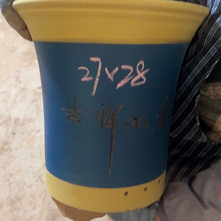 紫砂艺术学院美术