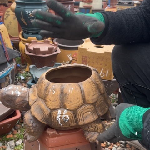 红陶紫砂花盆盆景盆栽