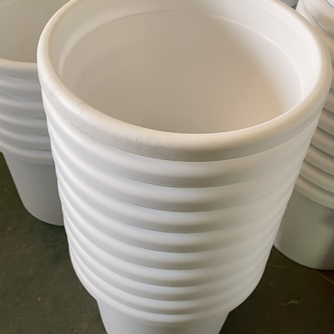 树脂四季3号纯白带托10套