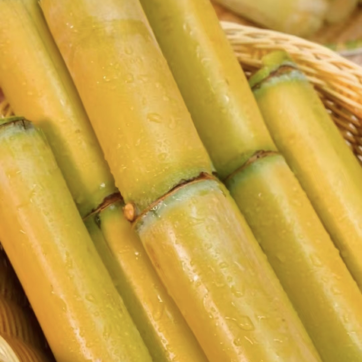 云南新鲜黄皮甘蔗精选中段脆甜多汁当季水果现发脆皮黄金
