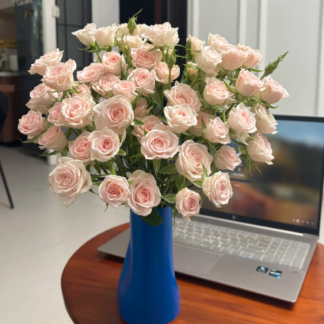 婚礼进行曲-多头玫瑰（任意两单包邮，一单需要补运费）鲜花