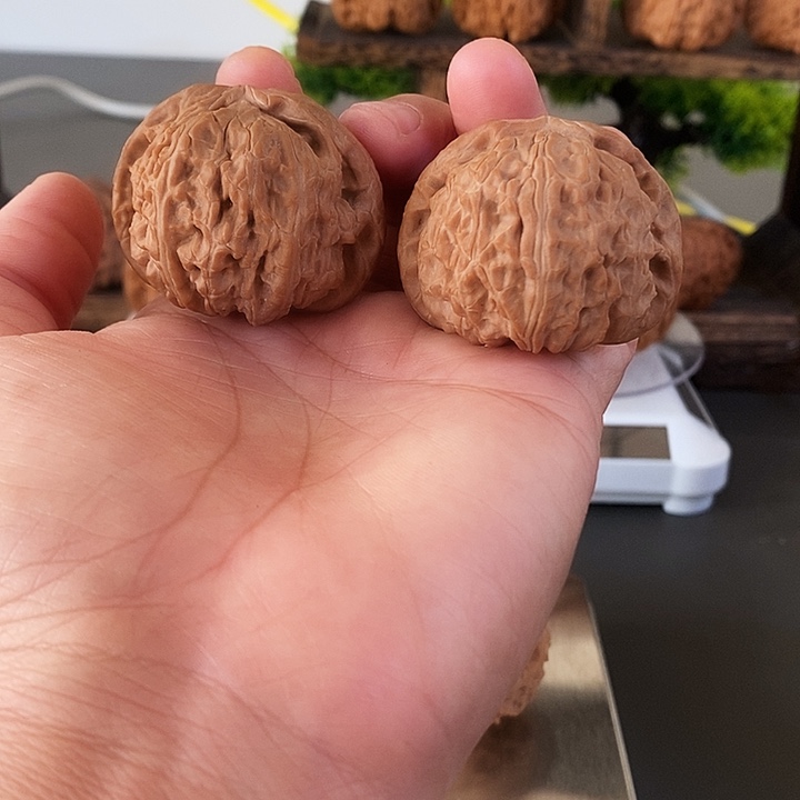 把件文玩核桃白狮子44大尺红皮果