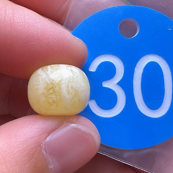 蜜蜡裸石未镶嵌12.7m m