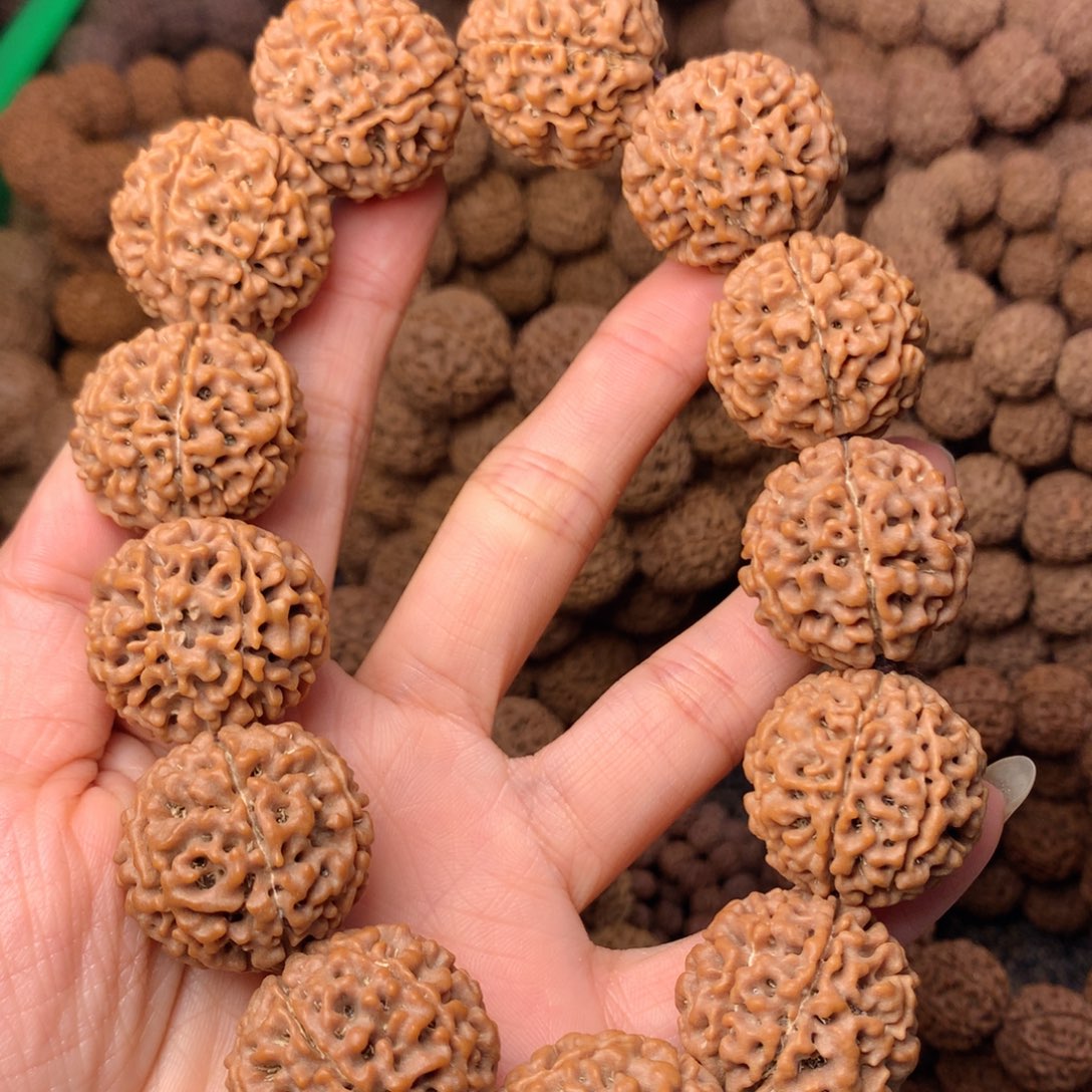 木7瓣爆肉卡25尺寸，6号