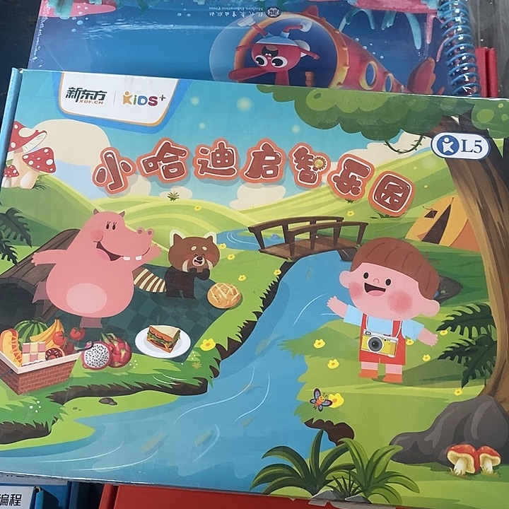 新东方小哈迪旗帜乐园L5