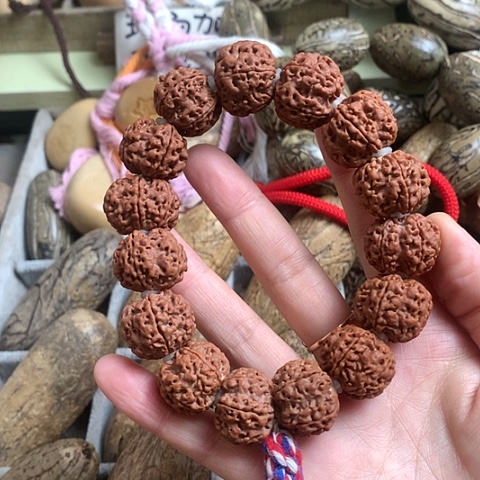 椰蒂吊坠金刚菩提