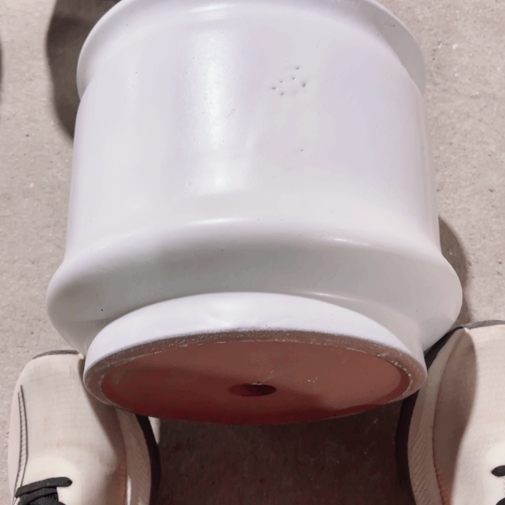 口径26高度24一只小瑕疵