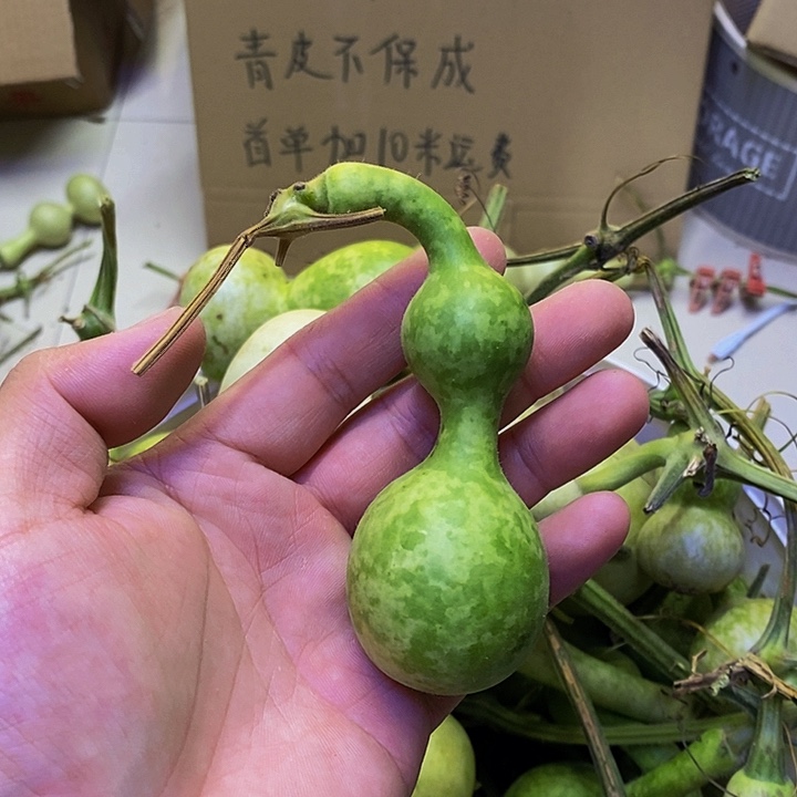 水*?长嘴哈哈哈哈哈哈哈哈哈哈哈好