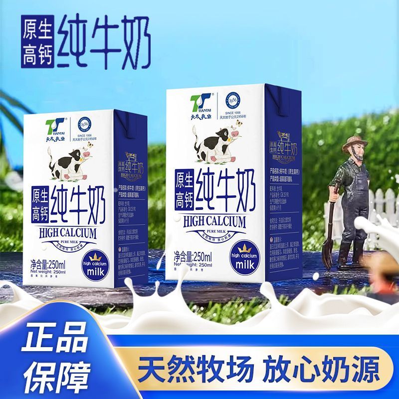 天太乳业原生高钙纯牛奶学生早餐奶儿童牛奶250ml*24盒整箱批发