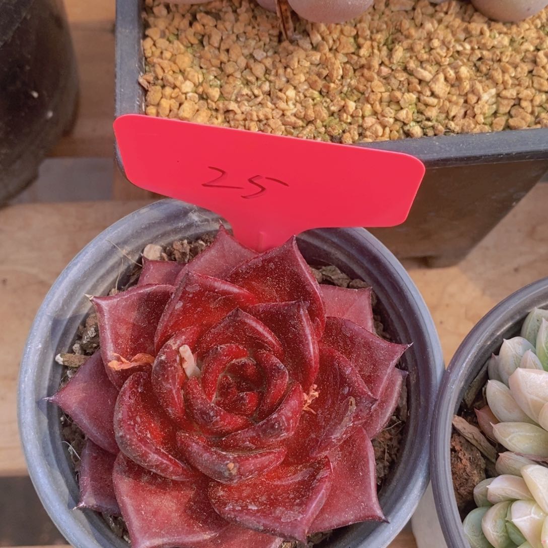 周末愉快，一单包邮