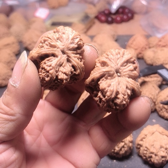 人**命涿鹿南疆石异形