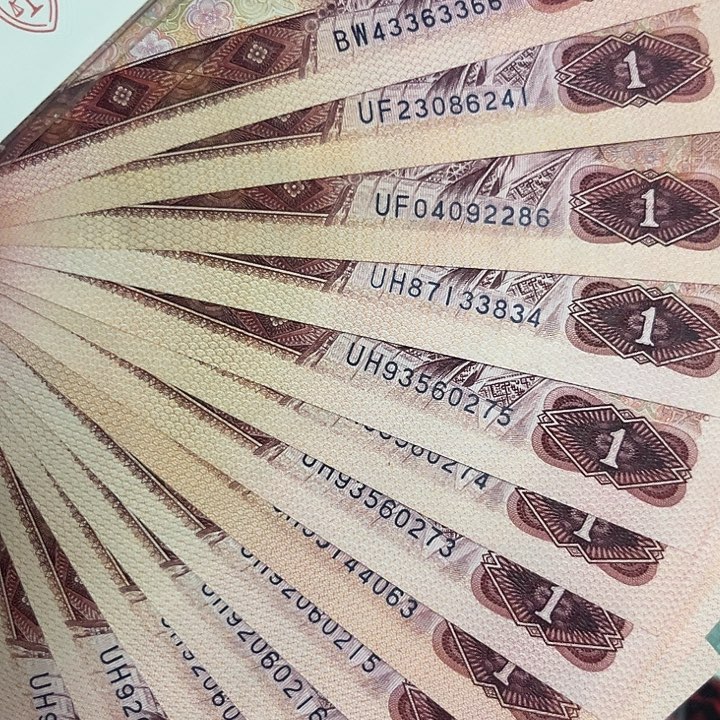 801红金龙13张一张金龙王全新直板。。。