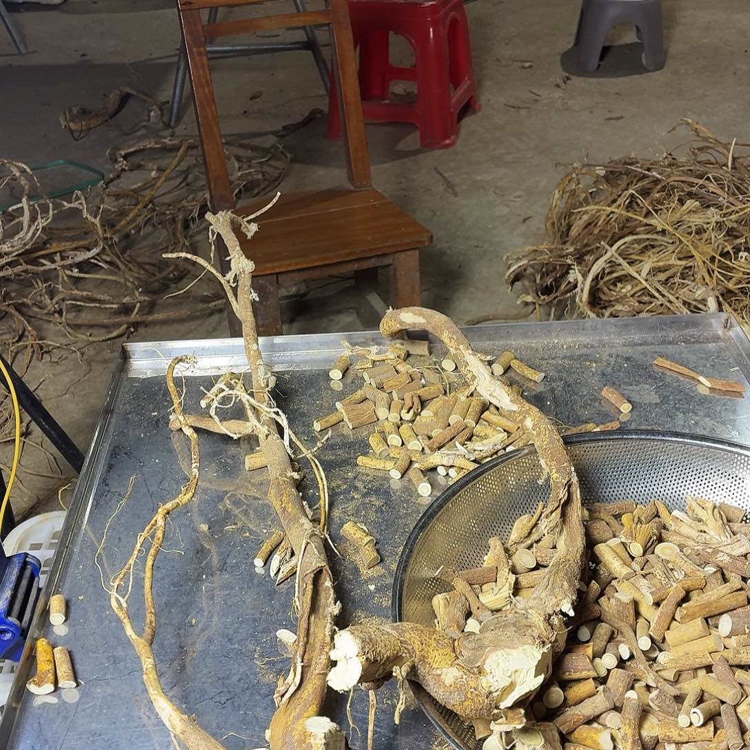 用***5中国大陆广西野生五指毛桃鲜货