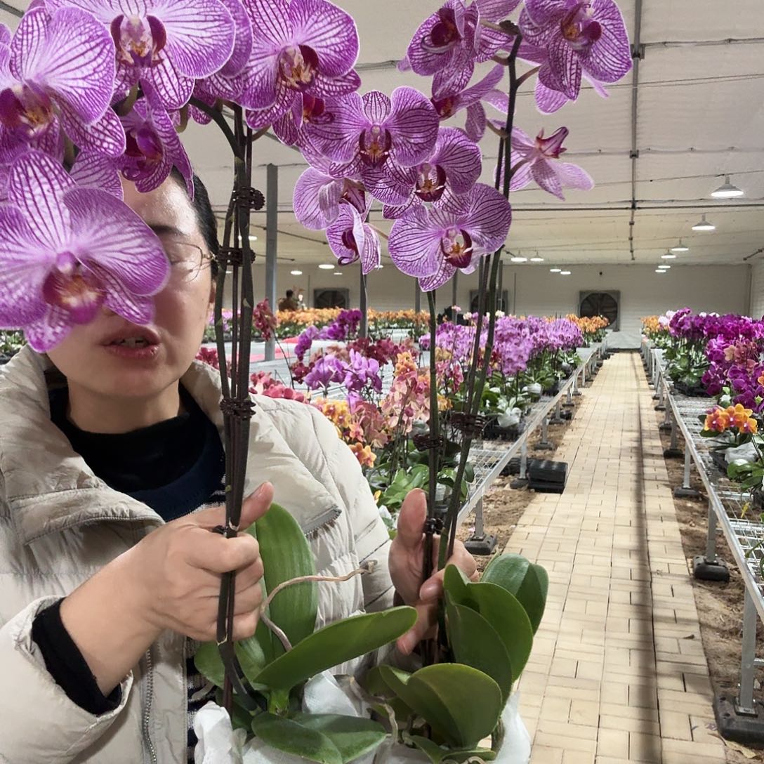 快***生完全开放布拉格1颗，布加勒斯特1颗