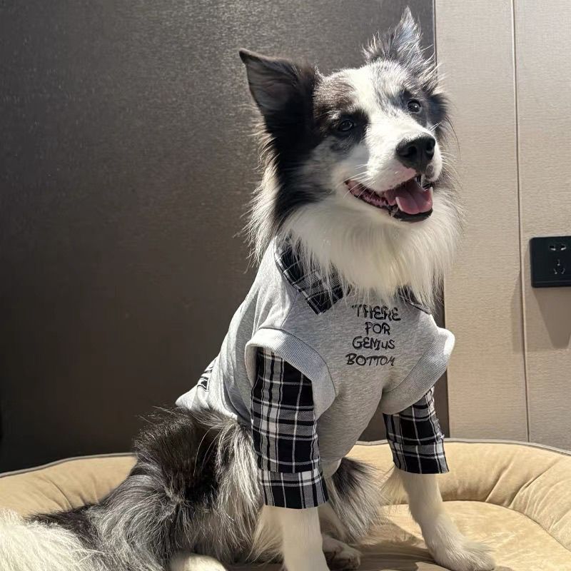 边牧秋冬衣服潮牌中大型犬学院风帅气衣服拉布拉多网红狗狗衣服冬