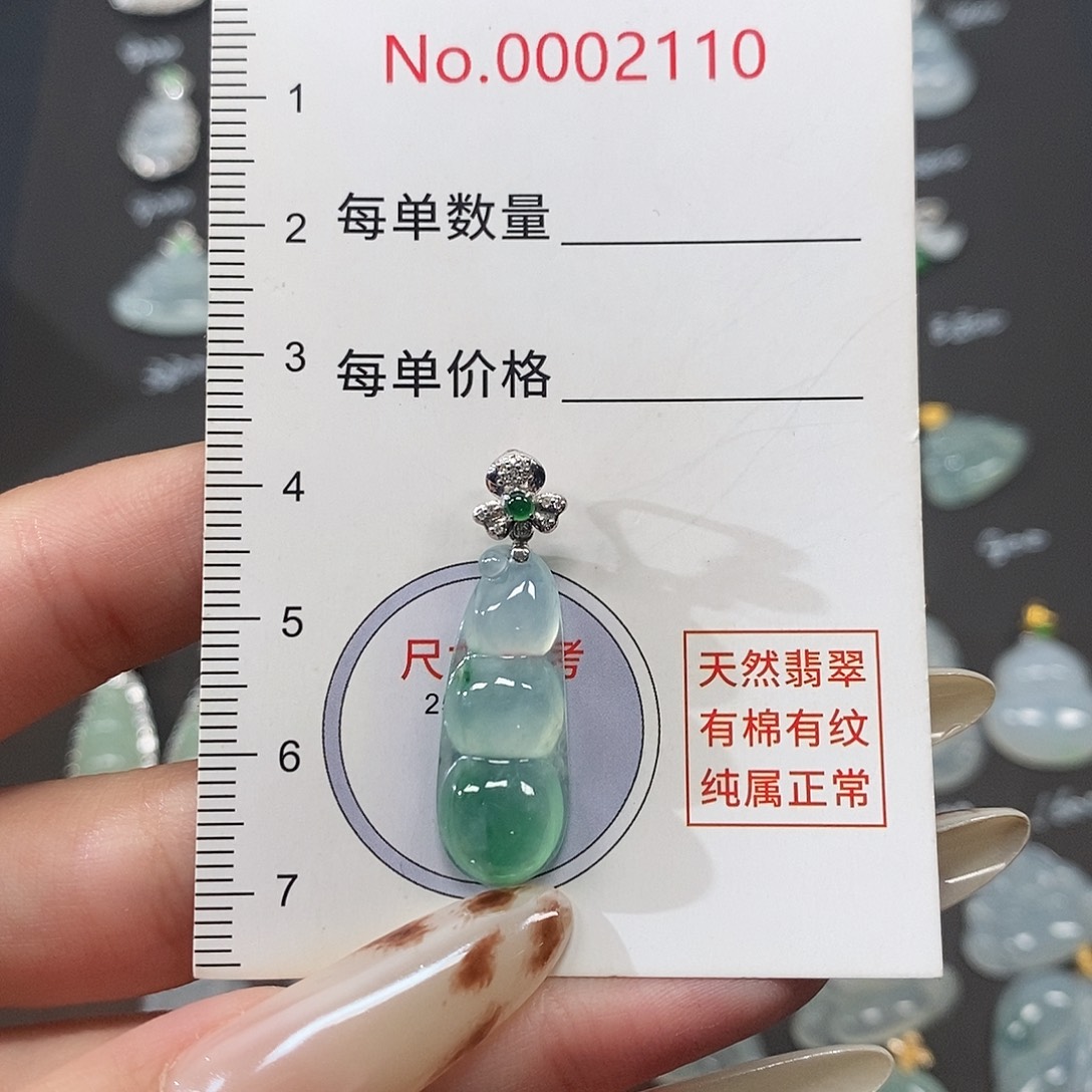 一***子翡翠18K金镶嵌颈饰