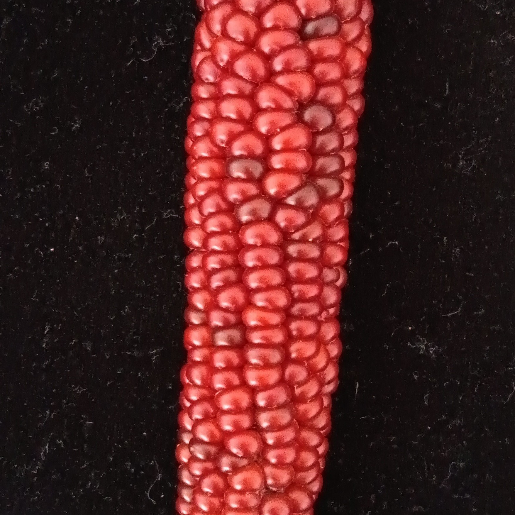 文玩装饰品2025新款纯手工玉米手手工艺一物一拍孤品创意工艺品