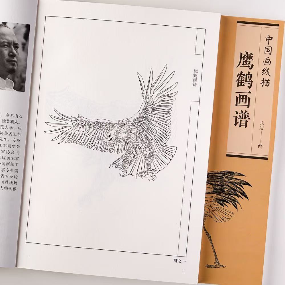 鹰鹤画谱中国画线描白描画谱天津杨柳青工笔白描画