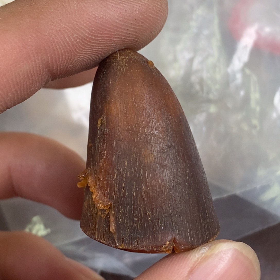 手串/手链驼骨配饰84