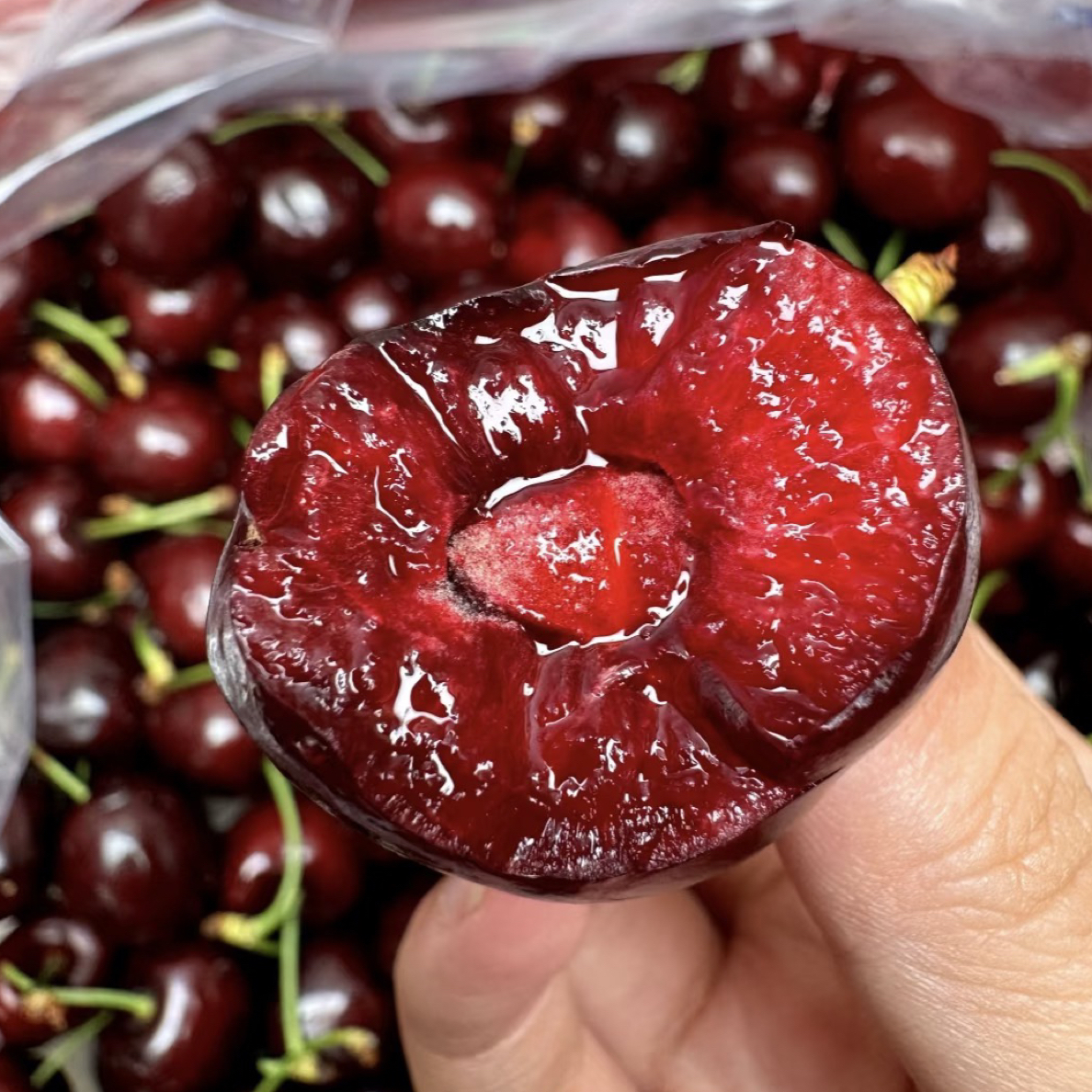 海运波板智利冰车厘子 4JJJJ 5斤智利