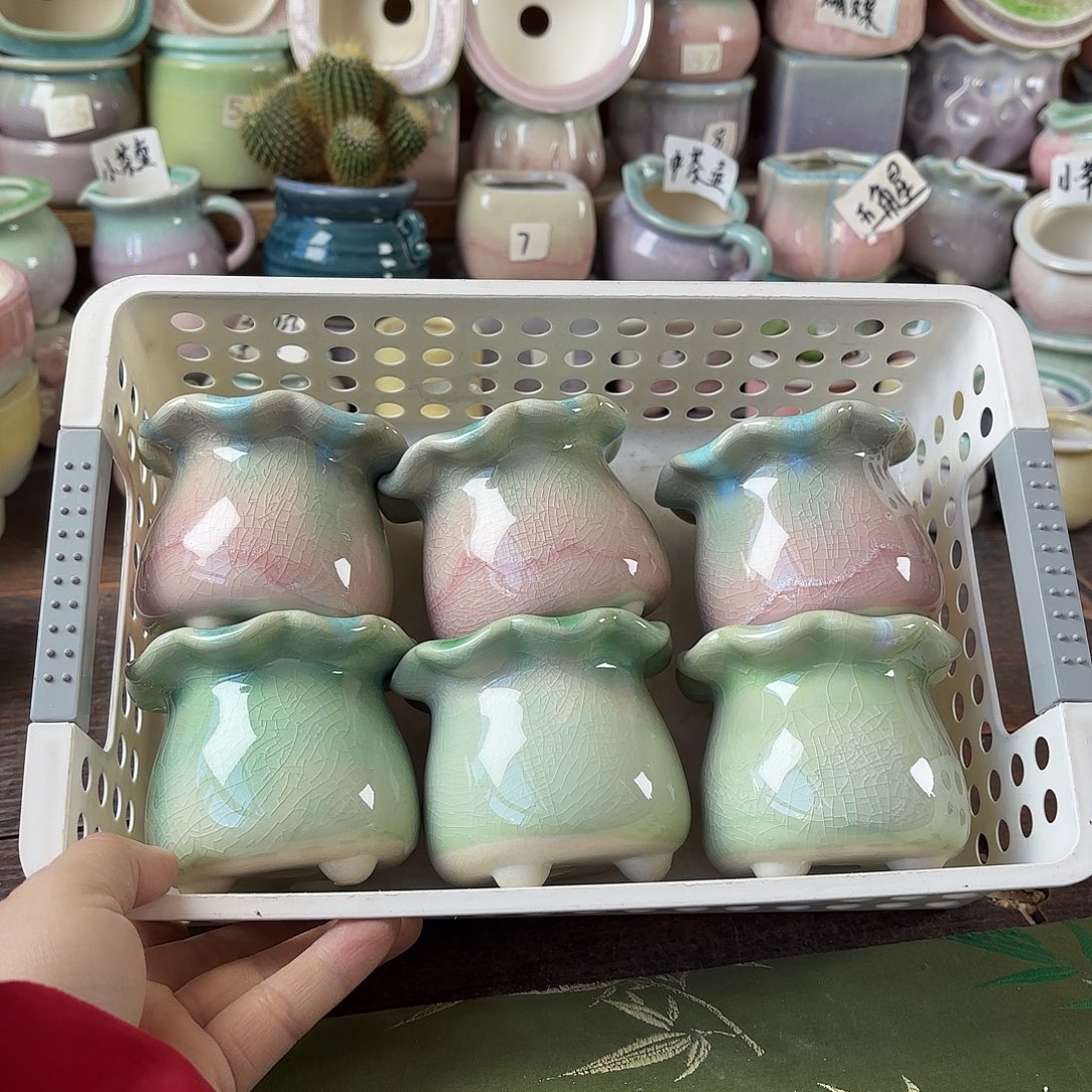 量货/4.5口高6.5深浅搭配发6福利