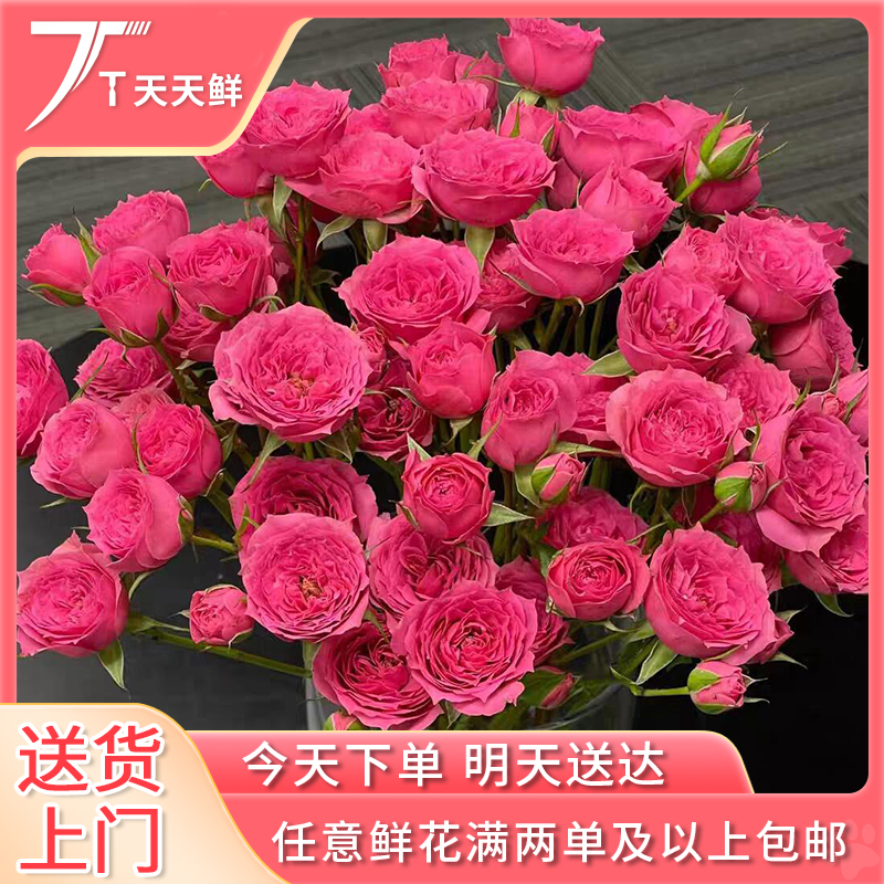 顺丰次日达【 5支 苏菲多头玫瑰】鲜花任意两单顺丰送货上门