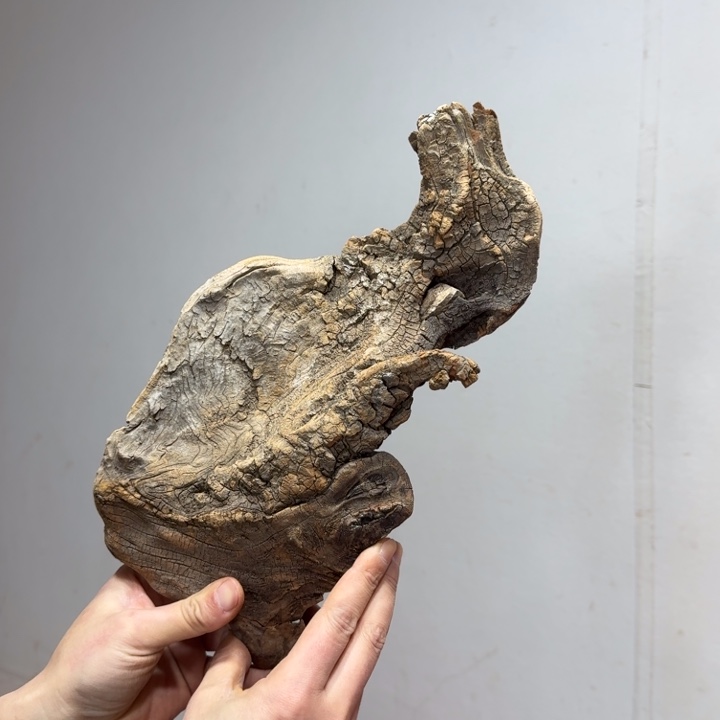 向***生香榧木18832259591