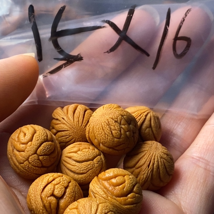 文玩核桃手串秦岭野生龙纹桃核15