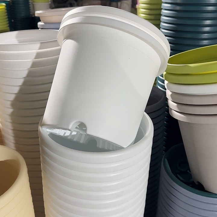 四季4#口径25白色8个无托